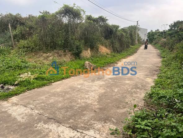 Đất nền Mỹ An 1545m² giá thỏa thuận - Đất thổ cư 100%