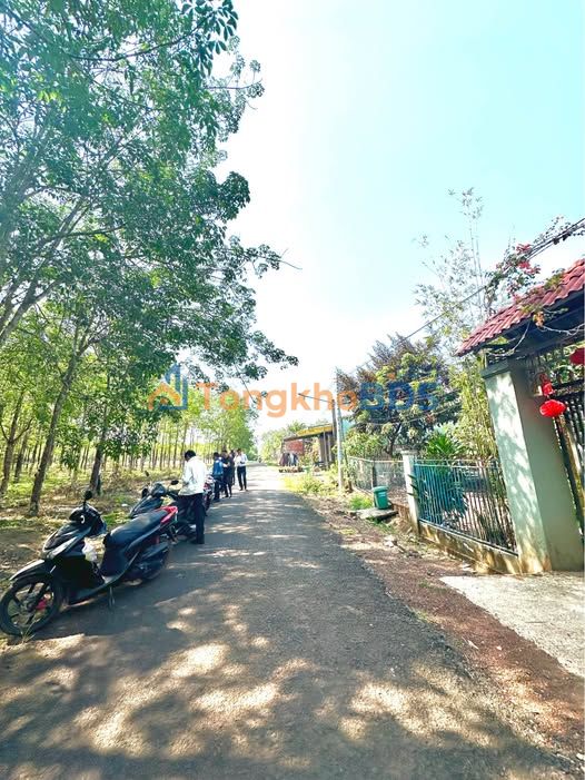 Đất nền Sổ hồng 1050m² mặt tiền nhựa sát KCN Tiến Hưng, Bình Phước - Giá 700 triệu