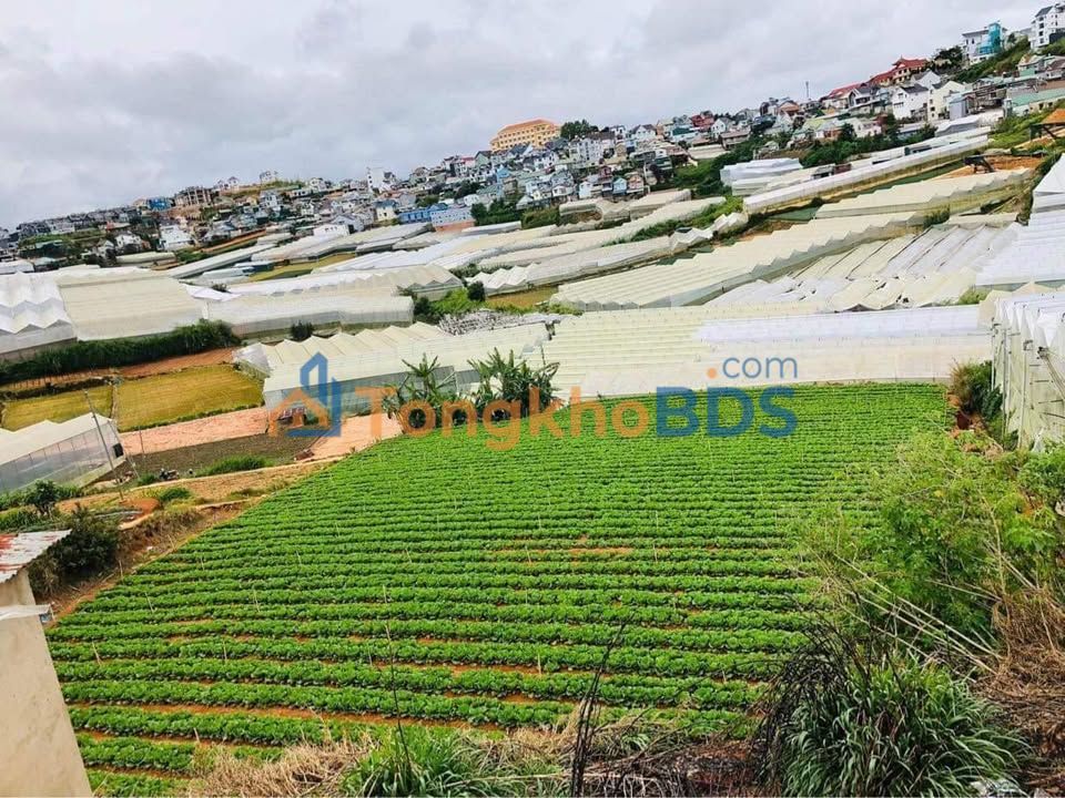 Đất Cao Thắng P7 1120m² 13.44 tỷ – Sổ đỏ chính chủ