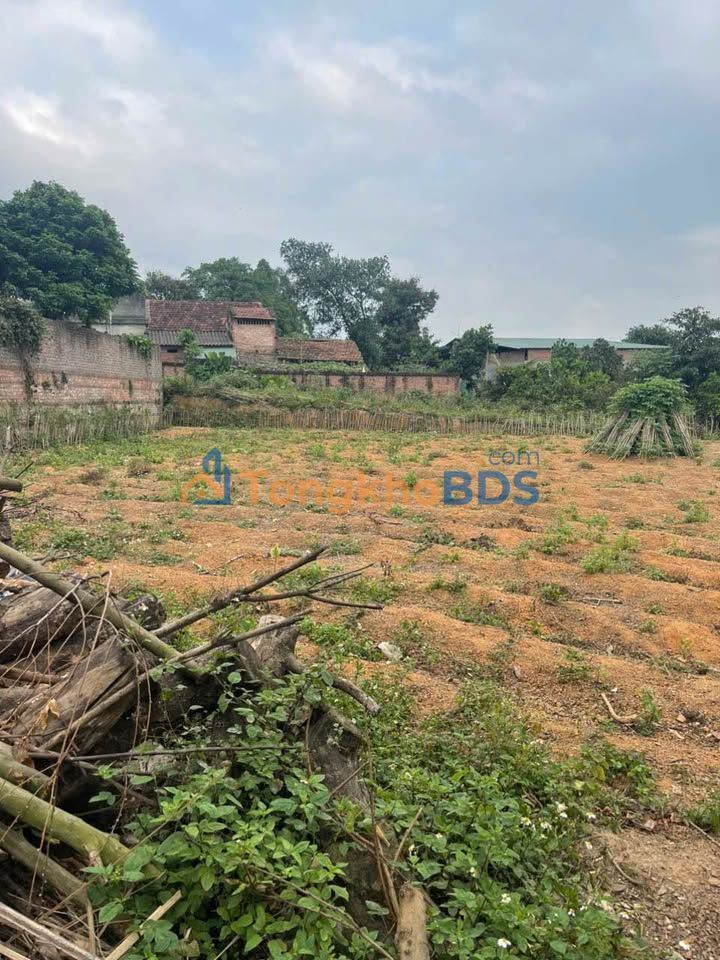 Đất nền Tam Dương 331m² dưới 2 tỷ - Đường to ô tô