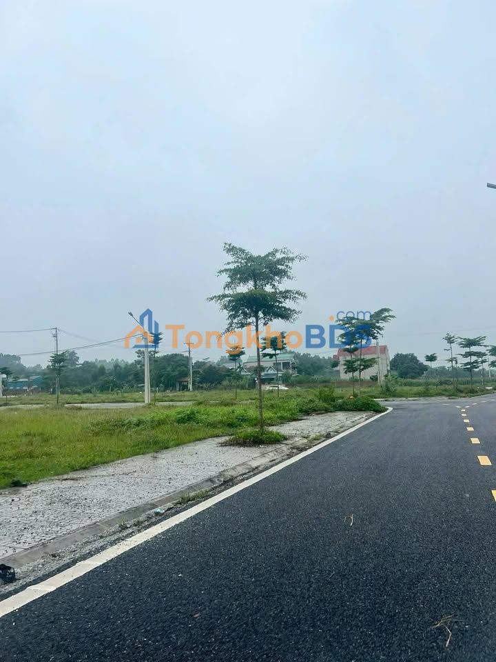 Đất nền Hy Cương Phú Thọ 95m² - Hạ tầng hoàn thiện