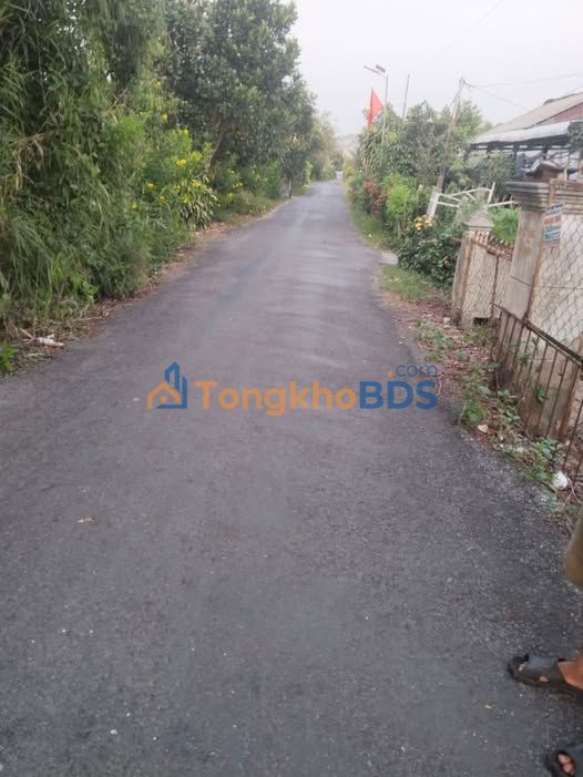 Đất Vườn Đồng Tháp - 11 Công Ao Mặt Tiền Nhựa, Giá Tốt