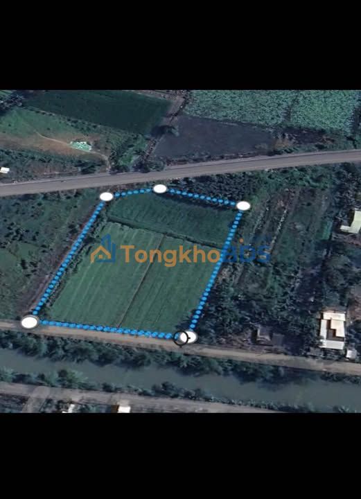 Đất Vườn 7.700m² Mặt Tiền Tỉnh Lộ 878, Tiền Giang - Giá Đầu Tư 23.5 Tỷ