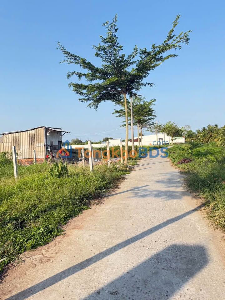 Bán Nền Thổ Cư 282m² Đường Xe 16 Chỗ, Châu Thành, Trà Vinh - Giá Tốt 789 Triệu