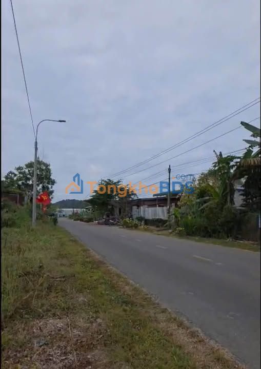 Farm Phú An Tân Phú 3.877m² 7,8 tỷ - Đường to oto