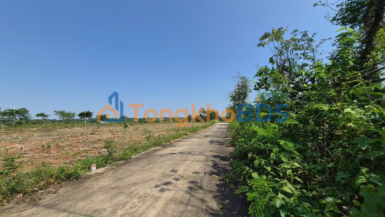 Đất Hắc Dịch Phú Mỹ 9300m² 0.85 tỷ - Sổ đỏ chính chủ