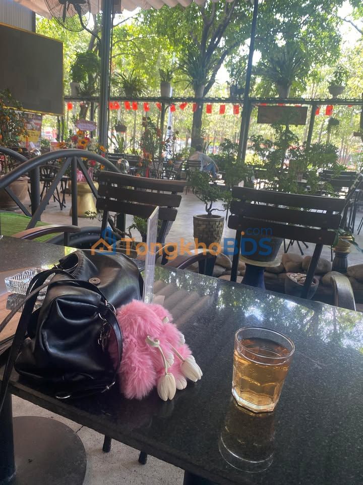 Đất mặt tiền Chi Lăng P12 Vũng Tàu 3774m² 25 tỷ - Sổ đỏ chính chủ