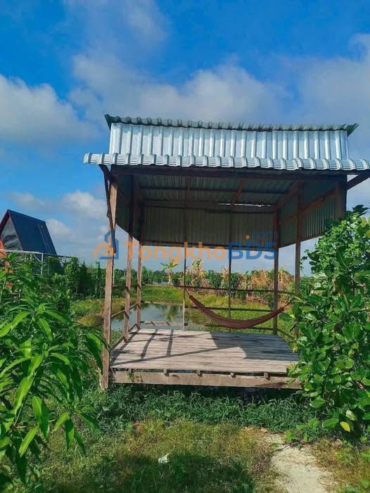 Bán Gấp Đất Vườn 590m² Góc Kênh 2, Châu Đốc - Giá 239 Triệu