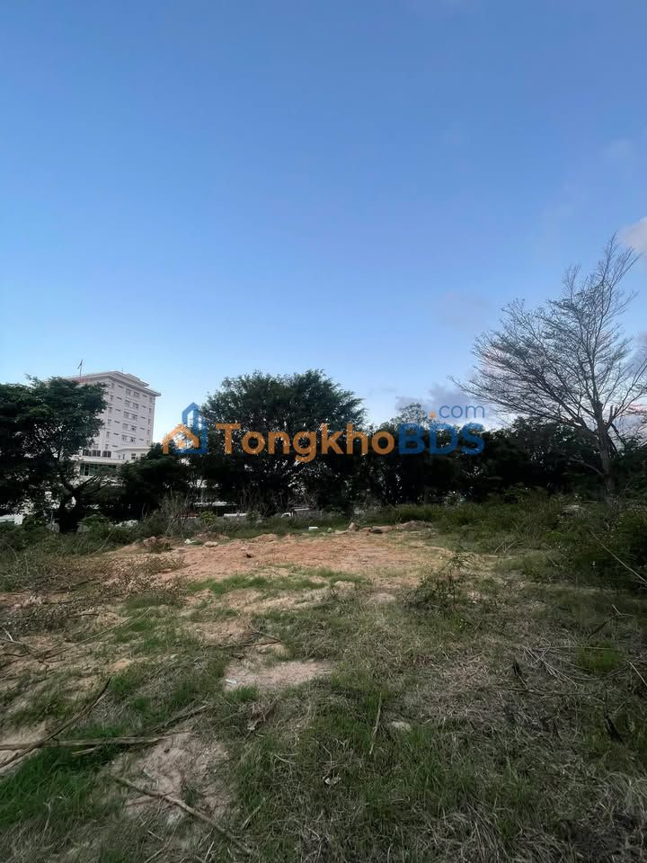 Đất nền Quy Nhơn QL1D 200m² 20 triệu - Giá tốt hiếm có