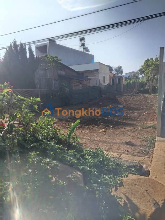 Đất nền mặt tiền nhựa Đức Trọng 500m² - Hạ giá 600 triệu, bán gấp!