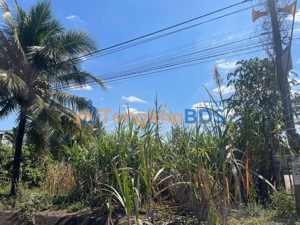 Đất Ea Wer Buôn Đôn 500m² 500-599 triệu - Sổ đỏ chính chủ