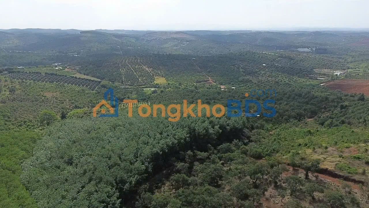 Đất nền Đắk Sin Đắk Nông 3.312m² giá 2 tỷ - Sổ đỏ chính chủ