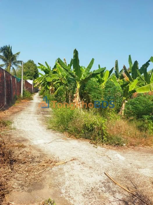 Đất nền Xã Sơn Phú Bến Tre 95m² 280 triệu - Sổ đỏ chính chủ