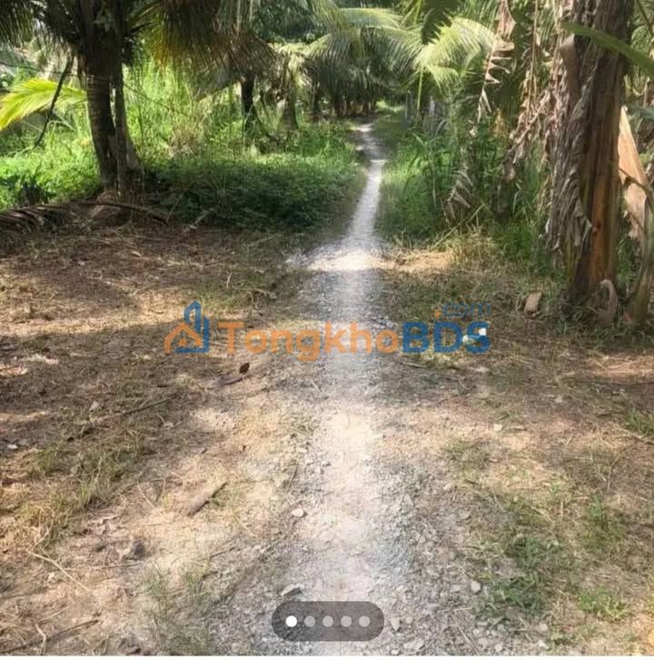 Đất vườn Bình Thành Giồng Trôm 2.913m² - Sinh thái xanh