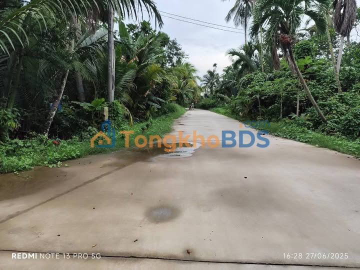 Đất nền Thanh Tân Bến Tre 2000m² 1.3 tỷ - Sổ đỏ