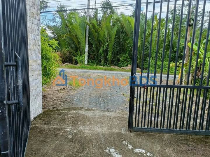 Nhà vườn Giao Long Bến Tre 8.200m² 12 tỷ - Nghỉ dưỡng lý tưởng