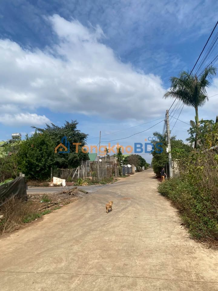 Đất Đức Trọng QL27 135m² 1,36 tỷ - Sổ đỏ chính chủ