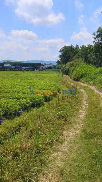 Đất Bình Trị Thăng Bình 320m² 280 triệu - Sổ hồng rõ ràng