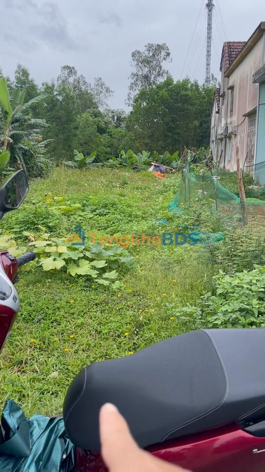 Đất nền Quế Mỹ Quế Sơn 155m2 1.4 tỷ - Sổ đỏ chính chủ