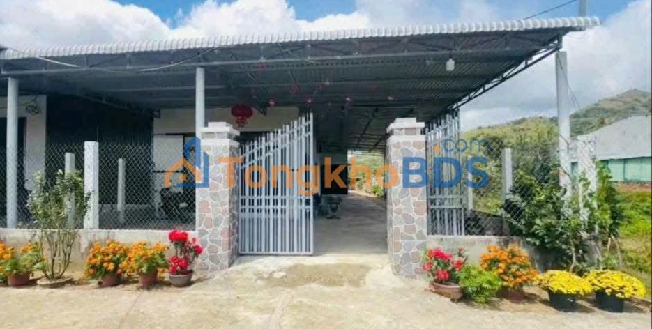 Đất thổ cư 418m² Xuân Hải, Ninh Thuận - Chỉ 1.9 tỷ, cách biển 400m