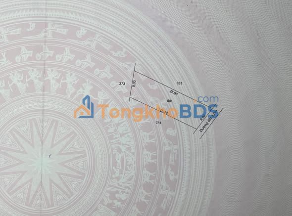 Đất Nền Sổ Hồng Riêng Đức Hòa 116m² - Giá Tốt Đầu Tư