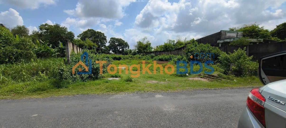 Đất Vườn Long An 1560m² Mặt Tiền Đường Đức Ngai - Giá Đầu Tư 8.5 Tỷ