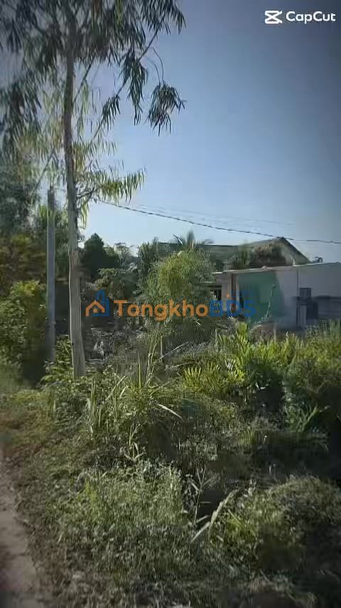 Đất An Thạnh Bến Lức 300m² 650 triệu - Giá tốt hiếm có