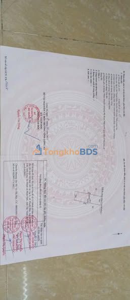 Đất Thổ Cư Bến Lức 118m² - Giá Đầu Tư 500 Triệu