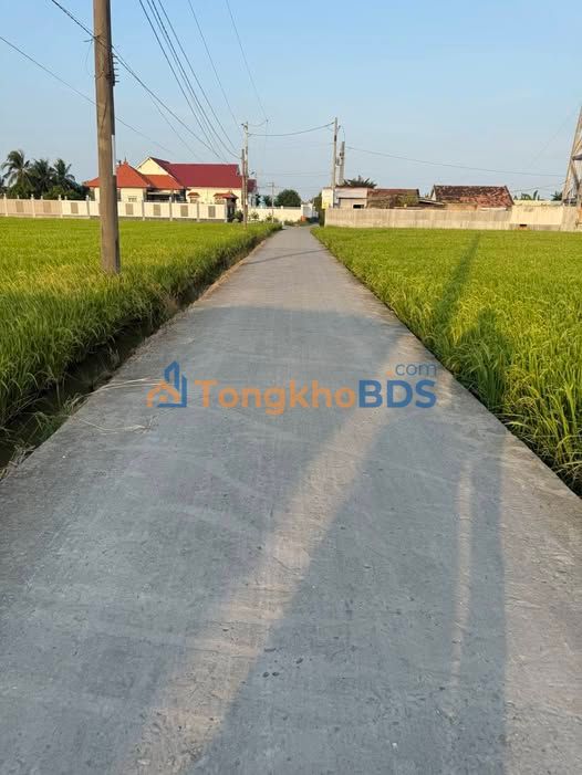 Bán Đất Vườn 2444m² Đức Tân, Long An - Giá Đầu Tư 1.71 Tỷ, Sẵn Sàng Canh Tác