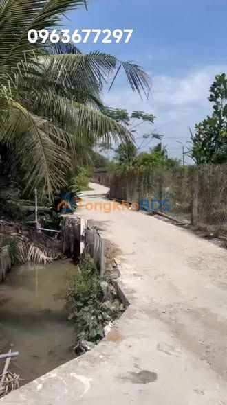 Đất Vườn Long An 886m² Full Thổ - Sẵn Sàng Xây Dựng Nghỉ Dưỡng