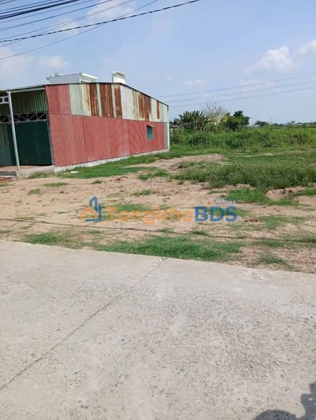 Bán Đất Thổ Cư Long An 300m² - Mặt Tiền Lộ Làng Nhị Thành, Thủ Thừa