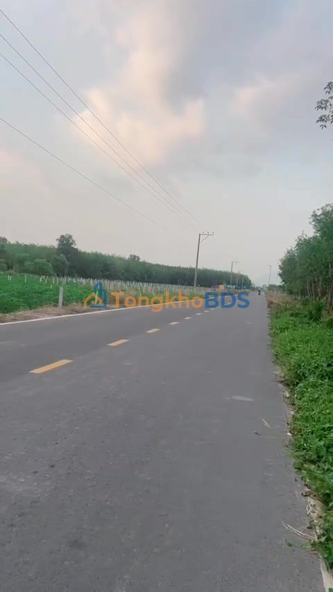 Đất Nền Bến Cầu, Tây Ninh: 700m² Mặt Tiền 30m - Đầu Tư Sinh Lời