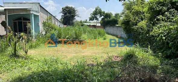 Đất Nền An Nhơn Tây Củ Chi 557m² - Sổ Hồng Riêng, Giá 3 Tỷ TL