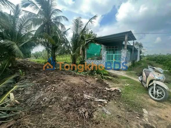 Nhà Vườn Sổ Đỏ 168m² Giá 650 Triệu Gần Sông Vàm Cỏ Đông