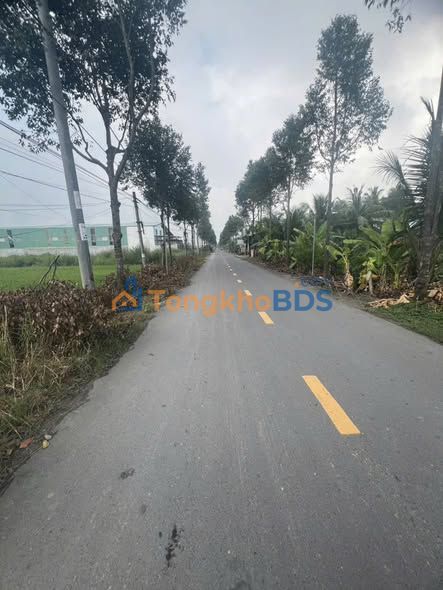 Bán Đất Vàng 1100m² Mặt Tiền Nhựa Bến Lức, Long An - Giá 5.9 Tỷ