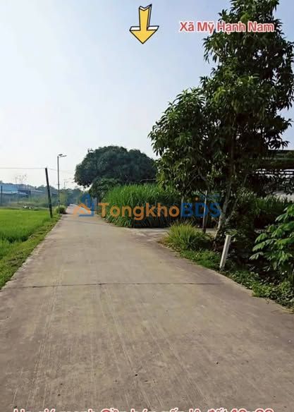 Đất nền Mỹ Hạnh Nam 150m² 1.5 tỷ - Sổ hồng chính chủ