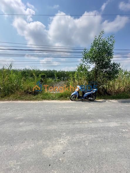 Đất Mặt Tiền Lục Viên, Đức Hòa - 235m² Thổ Cư, Giá Ngộp 1.65 Tỷ