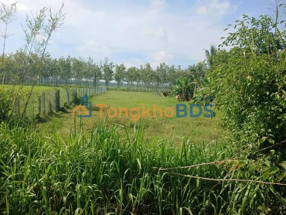 Đất nền Lộc Phước, Trảng Bàng 876m² - Sổ TC, Giá 1.5 tỷ TL