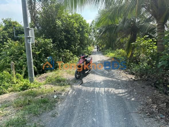 Bán Đất Vườn 800m² Lương Hòa, Bến Lức - Mặt Tiền Kênh, Sổ Thổ Cư