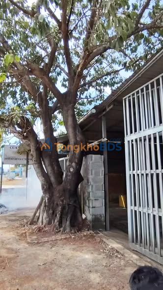 Đất Quốc lộ 1A Hàm Tân 380m2 thỏa thuận - Sổ đỏ chính chủ