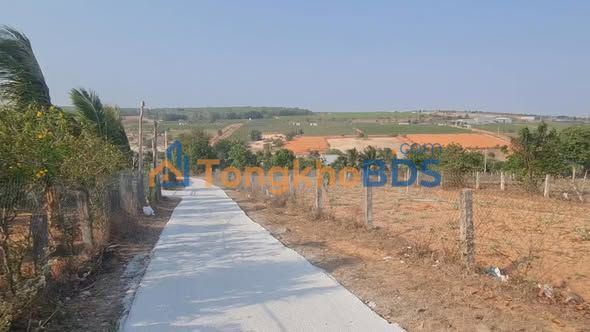 Đất nền Lô 2 Hàm Đức 1000m² 1.5 tỷ - Sổ đỏ chính chủ