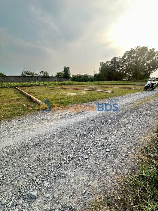 Đất Nền Đức Lập Hạ 85m² SHR Giá 580 Triệu - Đầu Tư Sinh Lời