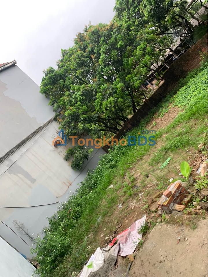 Đất xóm 1 Thường Tín 84m² giá thỏa thuận - Đường to ô tô