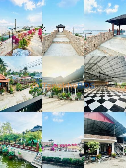 Farm Sân Vườn View Cầu Cần Thơ 5000m² - Sẵn Mô Hình Kinh Doanh