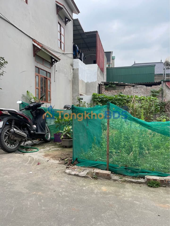 Đất thổ cư Thôn Yên Nho Gia Đông Thuận Thành 61m² - Sổ đỏ chính chủ