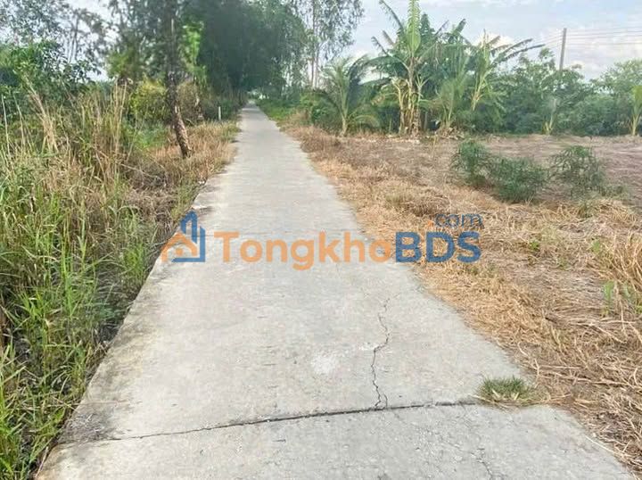 Đất nền An Xuyên, Cà Mau - 350 triệu, 115m², bao giấy tờ