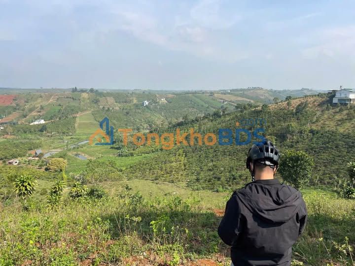 Đất nền Bảo Lâm 2061m² - View thoáng, ô tô tận nơi - 1.55 tỷ