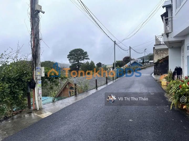 Đất Vàng Đà Lạt 1091m² - View Rừng Thông, Sổ Đỏ Đô Thị, 35 Tỷ