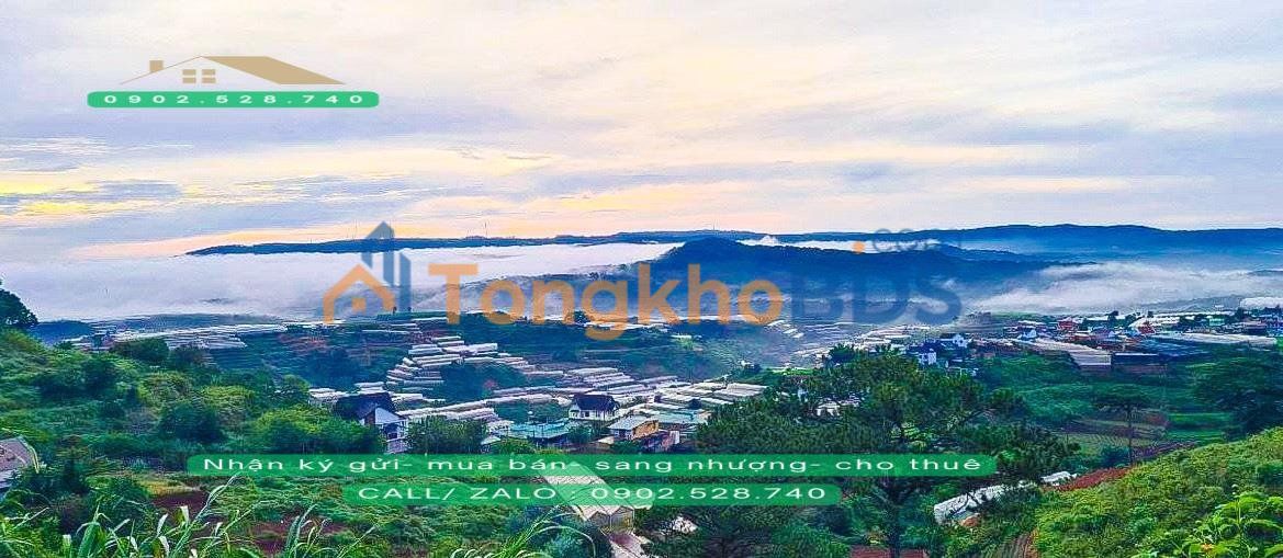 Bán Đất View Săn Mây Đà Lạt 744m² - Sẵn Sàng Đón Đầu Cơ Hội Đầu Tư