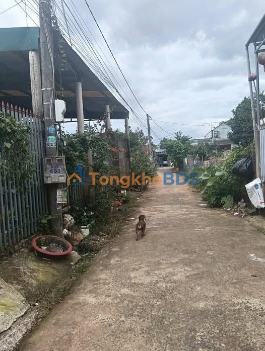 Nhà Lộc Châu Bảo Lộc 183m² 1.2 tỷ - Chính chủ bán